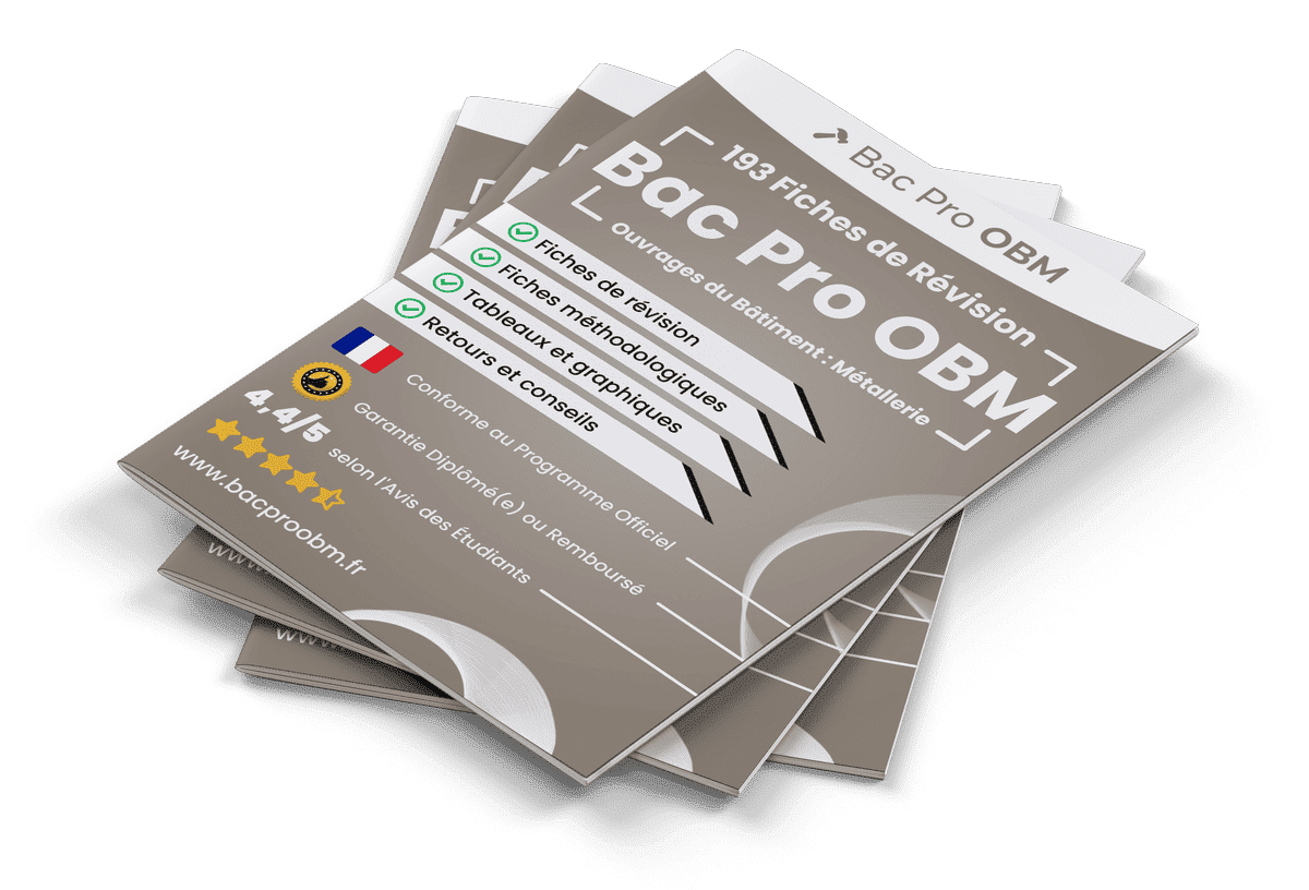 193 Fiches de Révision pour le Bac Pro OBM